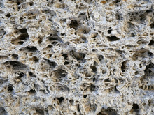 Shell Rock Wall Texture. Coquina Stone Background.