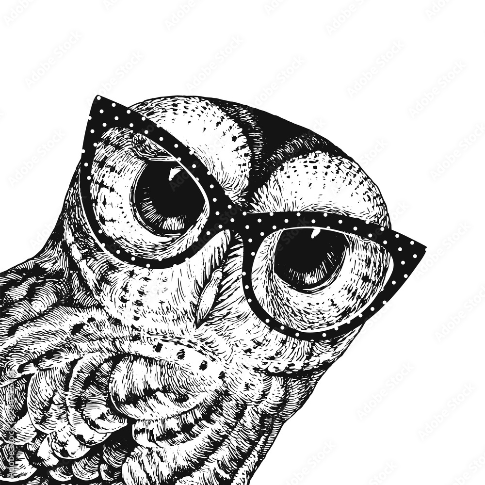 Poster Cute Owl Illustration Wearing Glasses Vector