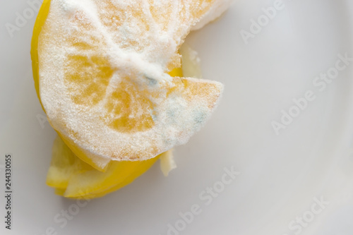 Slices Of Moldy Rotted Lemon On A White Background Spoiled Foods