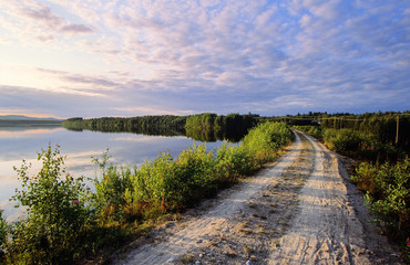 Wall Mural - dirt road beside lake shore. tranquil summer evening.