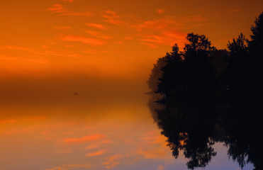 Wall Mural - misty morning scenery just before sunrise. clouds and forest siilhouette reflecting from water surfa