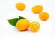 © Banu Sevim - Ripe kumquats on white background