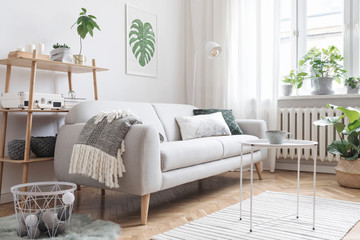 Stylish and minimalistic scandinavian interior with design sofa,tropicla plants, bookstand, coffee table, cozy blanket and carpet. White background walls, brown wooden parquet and modern lamp. 