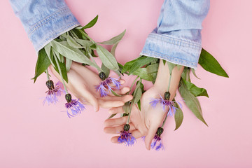 Wall Mural - Hands and spring flowers are on a pink table skincare. Nature Cosmetics for hand skin care, a means to reduce wrinkles on hands, moisturizing. Natural cosmetics from flower extract, beauty and fashion