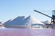 salt extraction process