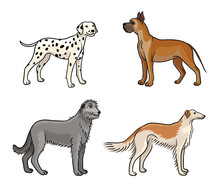 Dogs Of Different Breeds In Color (set3) - Vector Illustration