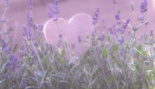 Blumenwiese Mit Lavendel Und Herz Zum Beschreiben