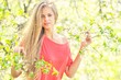 © paultarasenko - Beautiful blonde woman in blooming trees in spring
