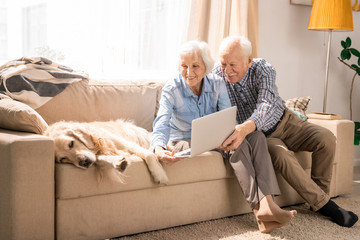 Wall Mural - Full length portrait of modern senior couple video chatting via laptop and showing dog sitting  on couch at home, copy space