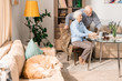 © Seventyfour - Full length portrait of modern senior couple using laptop sitting at table at home with pet dog in foreground, copy space