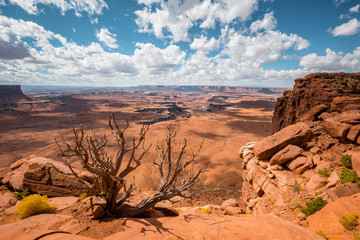 Wall Mural - green river overlook in canyonlands national park, utah