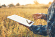 © joyfotoliakid - Smart farming Agricultural technology and organic agriculture Woman using the research tablet and studying the development of rice varieties in rice field