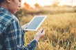 © joyfotoliakid - Smart farming Agricultural technology and organic agriculture Woman using the research tablet and studying the development of rice varieties in rice field