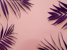 Purple Palm Leaves On A Pink Background
