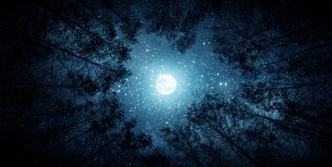 beautiful night sky, the milky way, moon and the trees. elements of this image furnished by nasa.