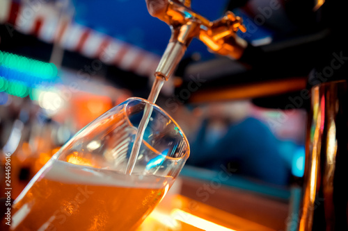 Fotomural Hand of bartender pouring a large lager beer in tap.