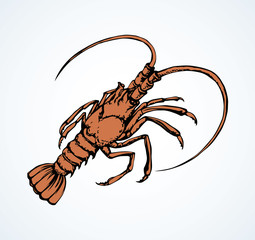 Canvas Print - Lobster. Vector drawing