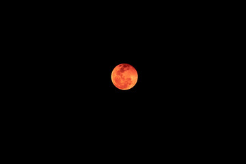 Hilo Blood Moon In Hawai'i