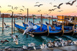 Sunrise over St Giorgio Maggiore and Birds over the Grand Canal, Venice, Italy