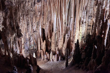 Spain. Mallorca. Dracon's Cave. Stalactite Jungle
