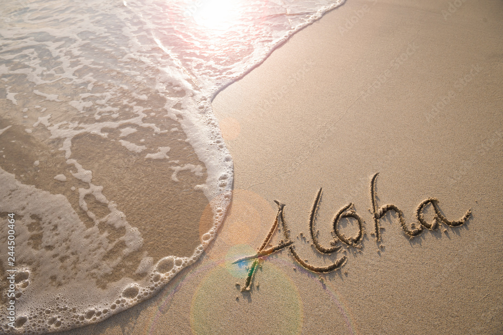 Aloha tropical vacation message handwritten on a smooth sand beach with incoming wave - obrazy, fototapety, plakaty 