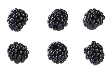 Wall Mural - Collection of fresh blackberries.