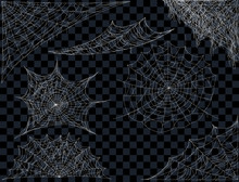 Spider Web Set. Cobweb Illustration For Halloween Design. Vector Background.
