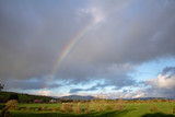 Fototapeta Tęcza - Rainbow over a farmers field in the South West of Ireland 