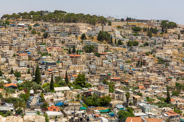 Wall Mural - Wide view on neighborhoods of East Jerusalem