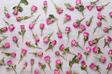 Flowers valentine day composition. Frame made of pink rose on gray background. Flat lay, top view, copy space.