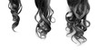 canvas print picture - Black long wavy hair on a white background. Growth process step by step