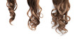 Brown long wavy hair on a white background. Growth process step by step