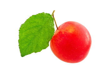 Sticker - Plum. Sweet red plum with leaves isolated.