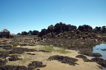 Poster - ile de bréhat