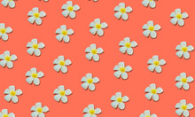 Tropical White Flower Seamless Pattern Background Living Coral Color Background