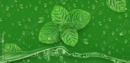 Photographie Green drops. Mint. 3d realistic vector