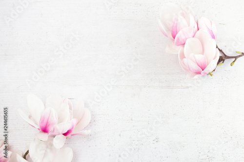 Magnolia flowers flat lay scene