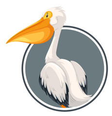 Poster - Pelican on circle banner