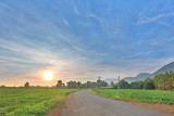 Fototapeta Na ścianę - Asphalt rural road with green field at sunrise time in thailand.