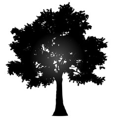 Wall Mural - Tree profile silhouette isolated - black gradient detailed - vector