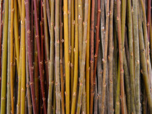 A Lot Of Willow Twigs - Raw Material For Basket Weaving