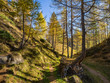 © Ivan - Hiking Path to Crampiolo in Alpe Veglia and Alpe Devero Natural Park