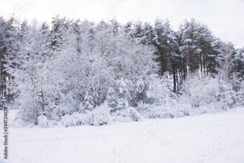 A Dreamy Winter Hiking In The Woods Beautiful Winter Photography Forest Covered In Snow Winter Time Tree Branches Covered In Snow Buy This Stock Photo And Explore Similar Images At Adobe