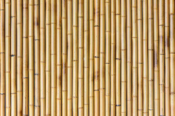 Wall Mural - bamboo wall background