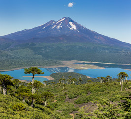 Sticker - Volcano Llaima at Conguillio N.P. (Chile)