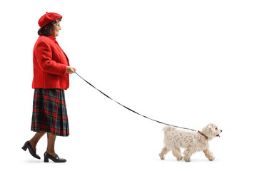 An older lady walking a little white dog