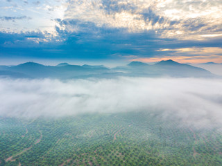 Wall Mural - Aerial view of mountain and morning mist during sunrise.