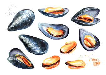 Mussels, seafood set. Watercolor hand drawn illustration isolated on white background