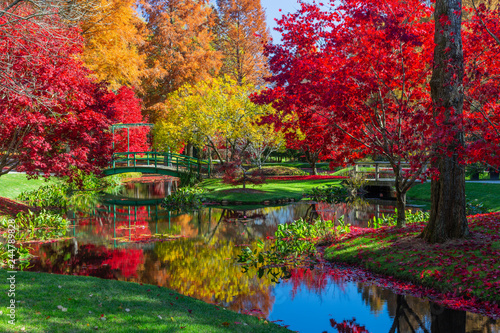 Array Of Colorful Autumn Foliage Reflecting In A Pond At Gibbs