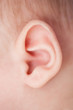 © dechevm - Close up of baby ear.